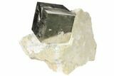 Shiny, Natural Pyrite Cube In Rock - Navajun, Spain #118260-1
